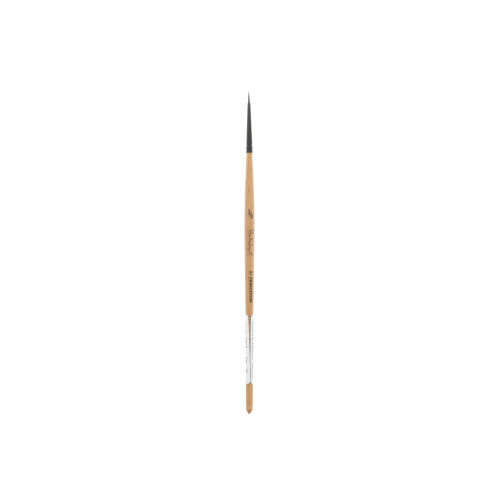 An image of Princeton Series 6450 Catalyst Polytip Bristle Brushes.